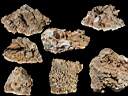 stalactites & stalagmites0005.jpg
